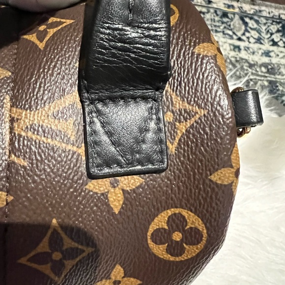 Louis Vuitton Mini Palm Spring - Picture 7 of 16